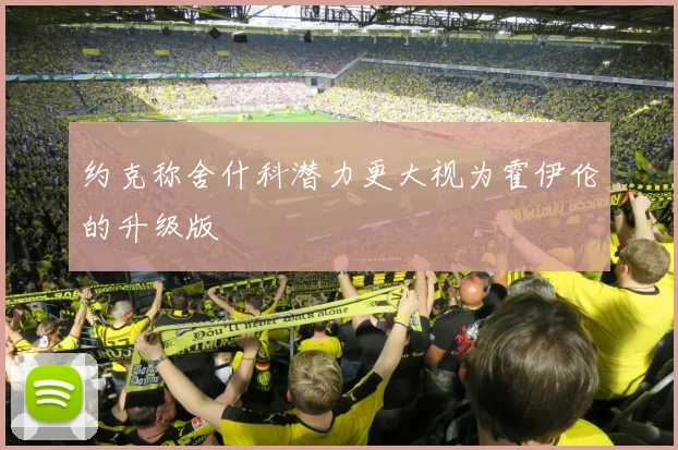 约克称舍什科潜力更大视为霍伊伦的升级版