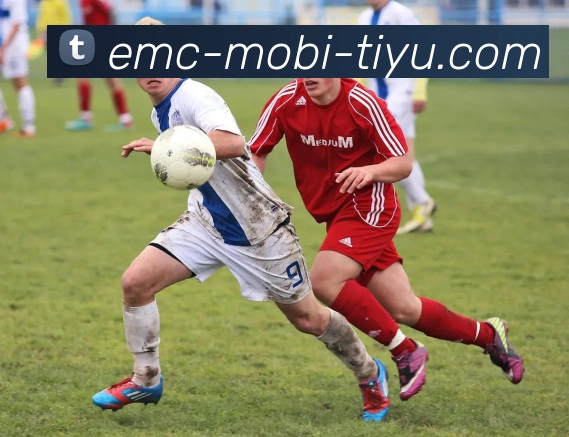 易倍体育品牌故事